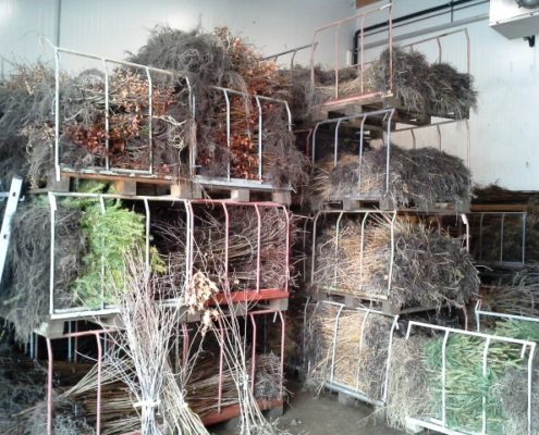 Lagerhalle